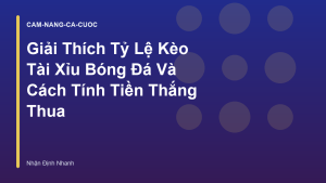 Read more about the article Giải Thích Tỷ Lệ Kèo Tài Xỉu Bóng Đá Và Cách Tính Tiền Thắng Thua